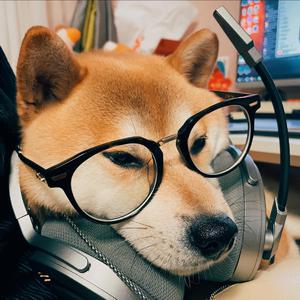 ww亚洲ww亚在线观看
